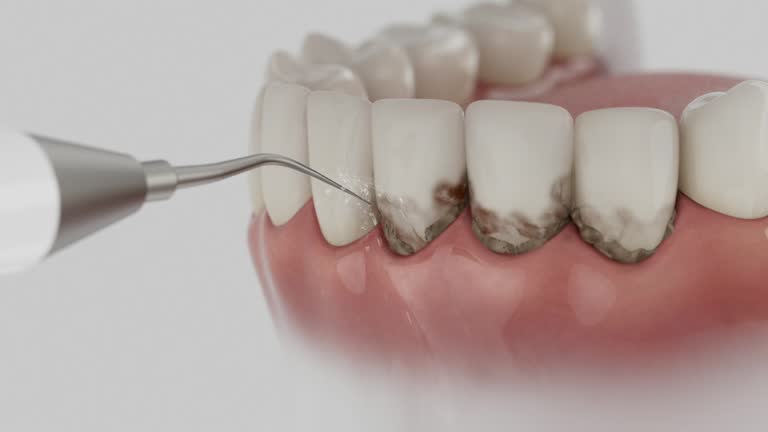 Reliable Dental contractor in Bladensburg, MD by Dentist Open Now